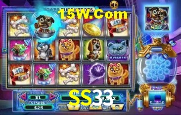 SS33