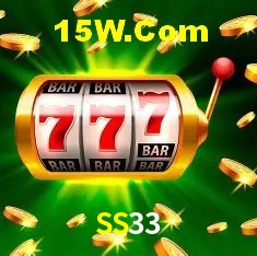 SS33