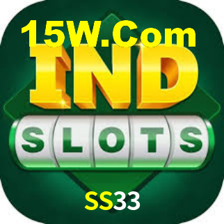 SS33 App Interface